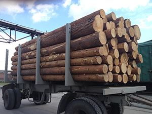 Как выбрать качественную древесину